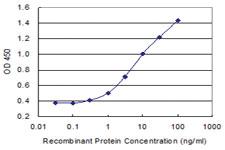 Anti-PDYN Mouse Monoclonal Antibody [clone: 2E12]