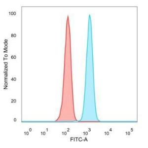 Flow cytometric analysis of PFA-fixed HeLa cells using Anti-ZNF562 Antibody [PCRP-ZNF562-1A1] followed by Goat Anti-Mouse IgG (CF&#174; 488) (Blue). Unstained cells (Red).