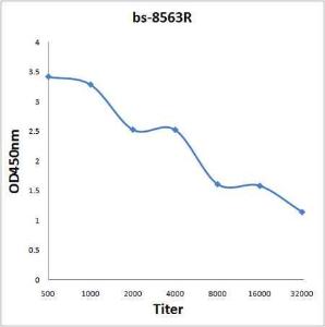 Antigen: bs-8563P, 2ug/100ul \nPrimary: Antiserum, 1:500, 1:1000, 1:2000, 1:4000, 1:8000, 1:16000, 1:32000; \nSecondary: HRP conjugated Rabbit Anti-Goat IgG(bs-0294R-HRP) at 1: 5000; \nTMB staining\nRead the data in Microplate Reader by 450nm. \n