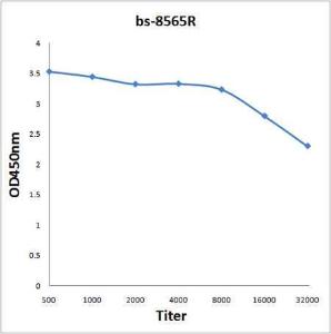 Antigen: bs-8565P, 2ug/100ul \nPrimary: Antiserum, 1:500, 1:1000, 1:2000, 1:4000, 1:8000, 1:16000, 1:32000; \nSecondary: HRP conjugated Rabbit Anti-Goat IgG(bs-0294R-HRP) at 1: 5000; \nTMB staining\nRead the data in Microplate Reader by 450nm. \n