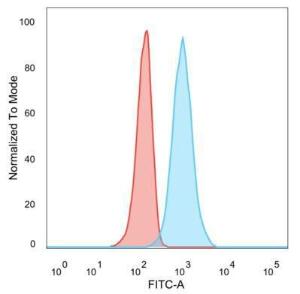 Flow cytometric analysis of PFA-fixed U87 cells using Anti-ZNF562 Antibody [PCRP-ZNF562-1A1] followed by Goat Anti-Mouse IgG (CF&#174; 488) (Blue). Unstained cells (Red).