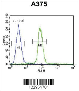 Anti-S100B Rabbit Polyclonal Antibody