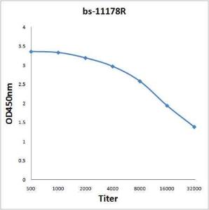 Antigen: bs-11178P, 2ug/100ul \nPrimary: Antiserum, 1:500, 1:1000, 1:2000, 1:4000, 1:8000, 1:16000, 1:32000; \nSecondary: HRP conjugated Rabbit Anti-Goat IgG(bs-0294R-HRP) at 1: 5000; \nTMB staining\nRead the data in Microplate Reader by 450nm. \n