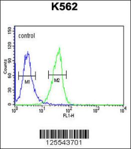 Anti-IN80B Rabbit Polyclonal Antibody (AP (Alkaline Phosphatase))