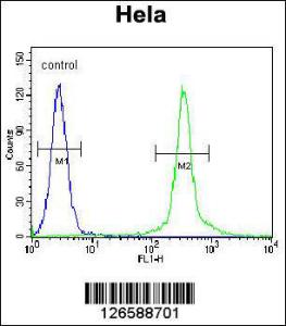 Anti-CMPK2 Rabbit Polyclonal Antibody (APC (Allophycocyanin))