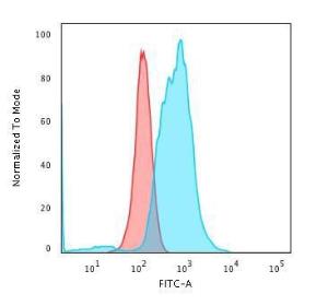 Flow cytometric analysis of PFA fixed K562 cells using Anti-Calponin 1 Antibody [rCNN1/832] followed by Goat Anti-Mouse IgG (CF&#174; 488) (Blue). Isotype Control (Red).