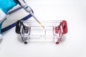 Linking STEM to agarose gel electrophoresis kit