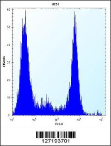 Anti-VPS37B Rabbit Polyclonal Antibody