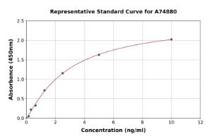 Representative standard curve for Porcine Lipocalin-2/NGAL ELISA kit (A74880)