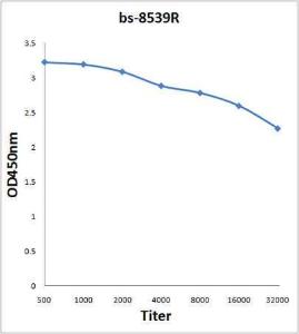 Antigen: bs-8539P, 2ug/100ul \nPrimary: Antiserum, 1:500, 1:1000, 1:2000, 1:4000, 1:8000, 1:16000, 1:32000; \nSecondary: HRP conjugated Rabbit Anti-Goat IgG(bs-0294R-HRP) at 1: 5000; \nTMB staining\nRead the data in Microplate Reader by 450nm. \n