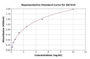 Representative standard curve for Rat RIP ELISA kit (A87419)