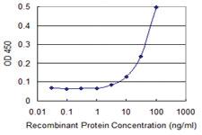 Anti-PCDHGC5 Mouse Monoclonal Antibody [clone: 3A6]