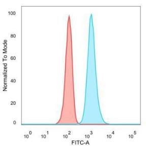 Flow cytometric analysis of PFA fixed HeLa cells using Anti-JunB Antibody [PCRP-JUNB-3G11] followed by Goat Anti-Mouse IgG (CF and #174; 488) (Blue). Unstained cells (red)