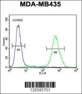 Anti-EXO5 Rabbit Polyclonal Antibody