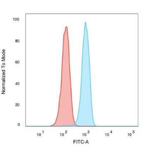 Flow cytometric analysis of PFA fixed K562 cells using Anti-NF-kB p65 Antibody [PCRP-RELA-1E3] followed by Goat Anti-Mouse IgG (CF&#174; 488) (Blue). Isotype Control (Red)