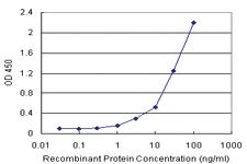 Anti-CPA1 Polyclonal Antibody Pair