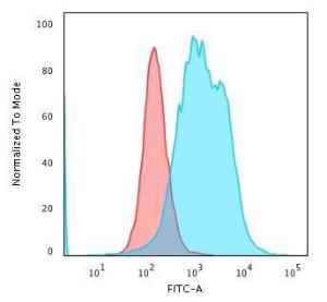 Antibody A248242-100 100 µg