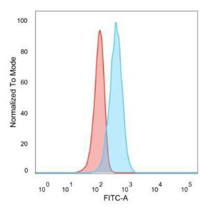 Flow cytometric analysis of PFA fixed U87 cells using Anti-NF-kB p65 Antibody [PCRP-RELA-1E3] followed by Goat Anti-Mouse IgG (CF&#174; 488) (Blue). Isotype Control (Red)