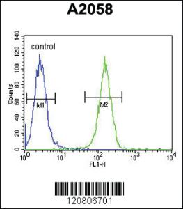 Anti-XRCC6 Rabbit Polyclonal Antibody