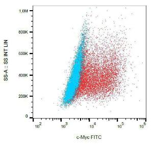 Antibody anti-C-MYC 9E10 FITC 100 µg