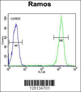 Anti-CMTM7 Rabbit Polyclonal Antibody (Biotin)