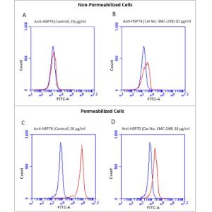 Anti-HSP70 antibody