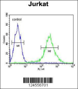 Anti-PKHH2 Rabbit Polyclonal Antibody (HRP (Horseradish Peroxidase))