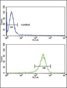 Anti-CBS Rabbit Polyclonal Antibody (PE (Phycoerythrin))