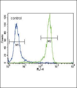 Anti-FGFR2 Rabbit Polyclonal Antibody