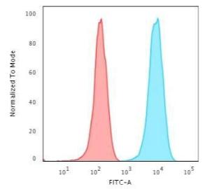 Flow cytometric analysis of Jurkat cells using Anti-CD3 epsilon Antibody [B-B12] followed by Goat Anti-Mouse IgG (CF&#174; 488) (Blue). Isotype Control (Red)