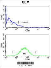 Anti-CNDP1 Rabbit Polyclonal Antibody (AP (Alkaline Phosphatase))