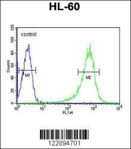 Anti-RGS1 Rabbit Polyclonal Antibody (APC (Allophycocyanin))