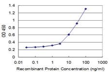 Anti-ICOSL Mouse Monoclonal Antibody [clone: 1E2]