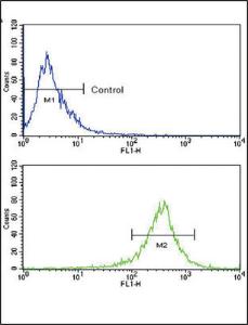 Anti-FGFR4 Rabbit Polyclonal Antibody (FITC (Fluorescein Isothiocyanate))