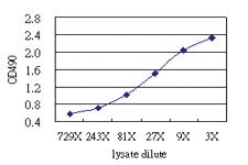 Anti-ORM1 Antibody Pair