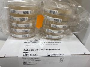 SDA plus chloranfenicol contact plate