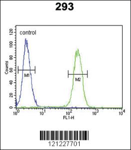 Anti-Roundabout 4 Rabbit Polyclonal Antibody