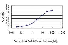 Anti-ICOSL Mouse Monoclonal Antibody [clone: 2D12]