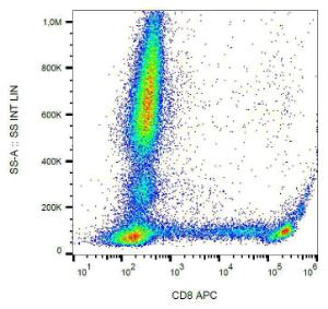 Surface staining of human peripheral blood using Anti-CD8 Antibody (A85480)