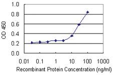 Anti-SAMSN1 Mouse Monoclonal Antibody [clone: 1B8]