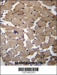 Anti-MGAT4C Rabbit Polyclonal Antibody (APC (Allophycocyanin))