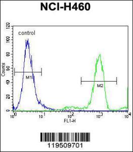 Anti-FGL2 Rabbit Polyclonal Antibody (AP (Alkaline Phosphatase))