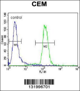 Anti-DISC1 Rabbit Polyclonal Antibody (AP (Alkaline Phosphatase))