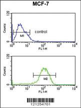 Anti-PYY Rabbit Polyclonal Antibody