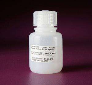 Pierce™ Protein G Plus Agarose