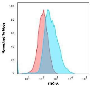 Flow cytometric analysis of PFA fixed MCF cells using Anti-gamma Catenin Antibody [11E4] followed by Goat Anti-Mouse IgG (CFand#174; 488) (Blue). Isotype Control (Red)