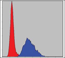 Anti-TNNT2 Mouse Monoclonal Antibody [clone: 2F12A11]