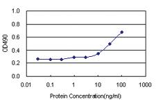 Anti-NDN Antibody Pair