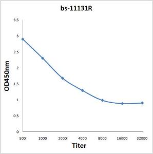 Antigen: bs-11131P, 0.2ug/100ul \nPrimary: Antiserum, 1:500, 1:1000, 1:2000, 1:4000, 1:8000, 1:16000, 1:32000; \nSecondary: HRP conjugated Goat-Anti-Rabbit IgG(bs-0295G-HRP) at 1: 5000;\nTMB staining;\nRead the data in MicroplateReader by 450