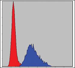 Anti-TNNT2 Mouse Monoclonal Antibody [clone: 2F12A8]